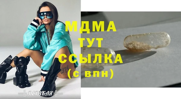 гашик Корсаков