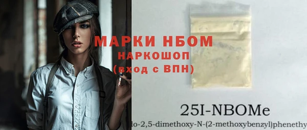 гашик Корсаков
