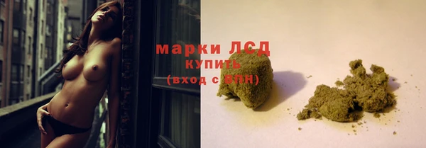 гашик Корсаков