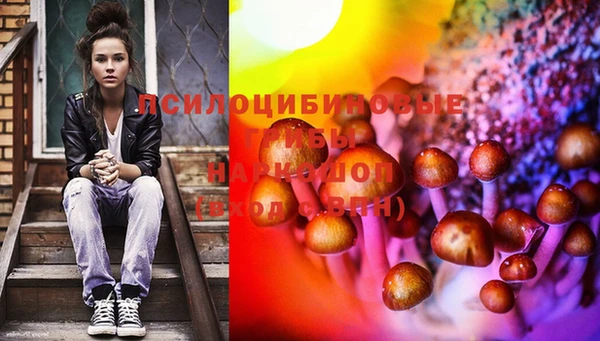прущая мука Кинешма