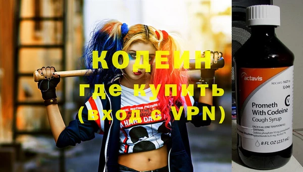 индика Киренск