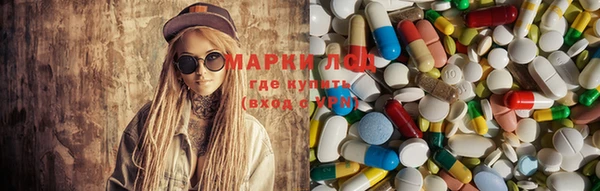 гашик Корсаков