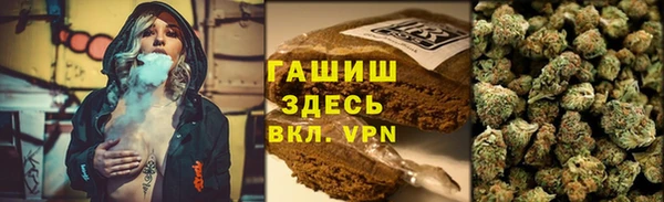 гашик Корсаков