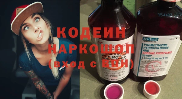 гашик Корсаков