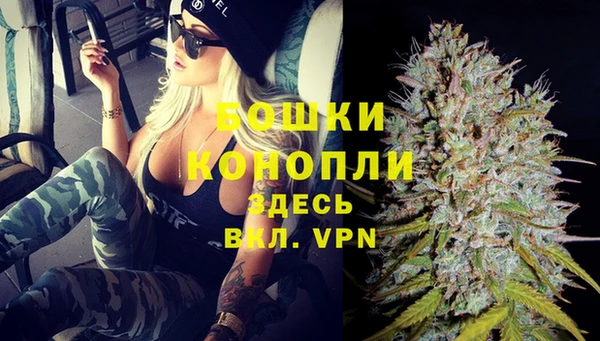 гашик Корсаков