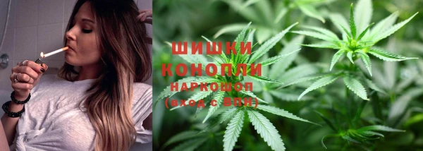 гашик Корсаков