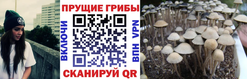 нарко площадка как зайти  Кола  Псилоцибиновые грибы MAGIC MUSHROOMS  хочу наркоту  hydra зеркало 